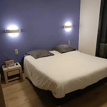 T3 - Gare -Centre Ville- Parking- Calme - Wifi - Netflix - Canalp Prime Video Annecy Exterior photo