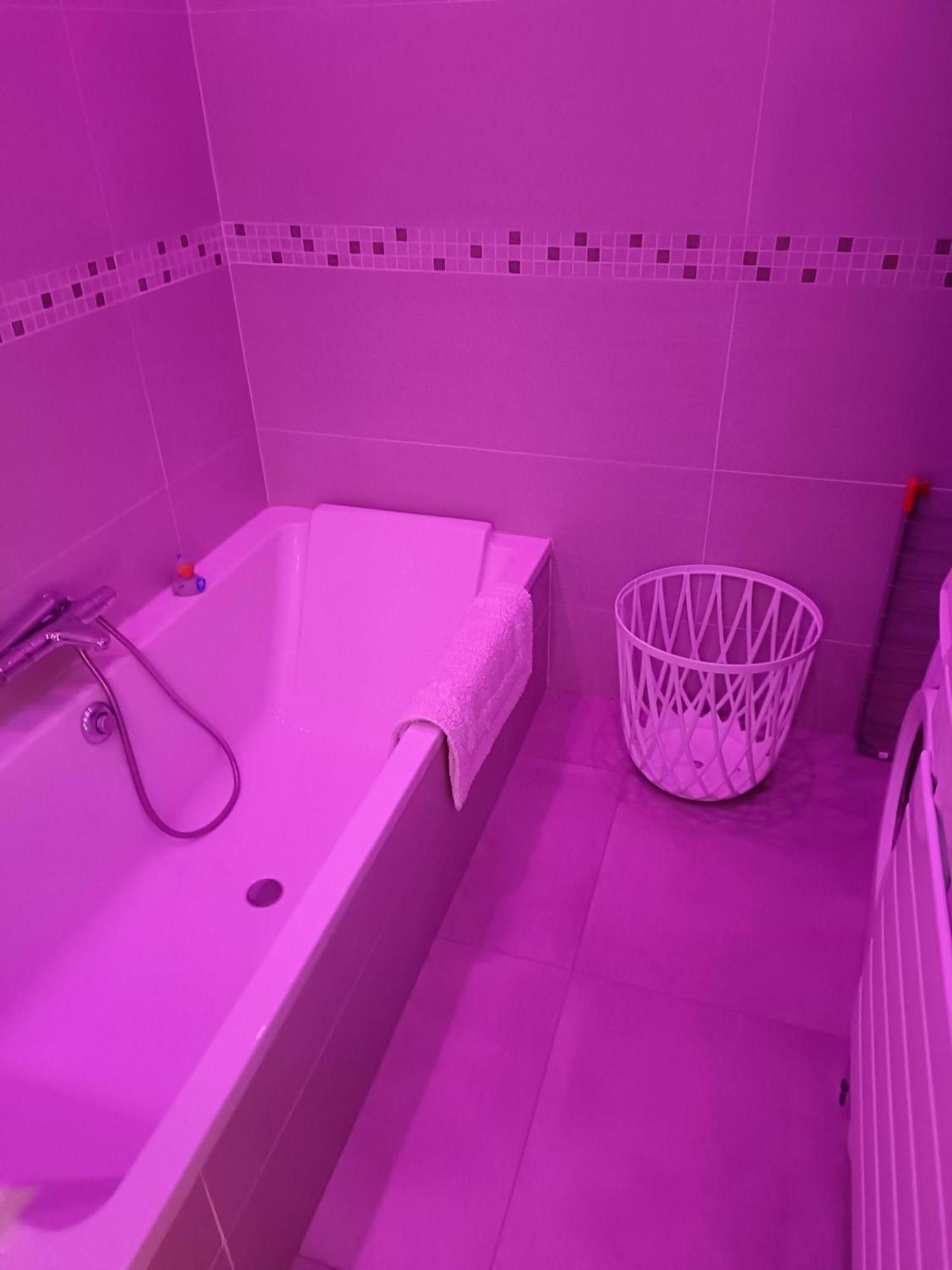 Apartment T3 - Gare -centre Ville- Parking- Calme - Wifi - Netflix - Canalp Prime Video *